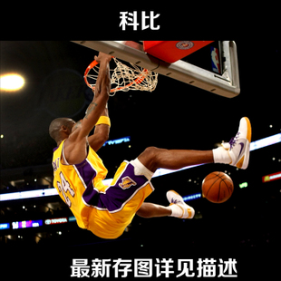 新罕布什尔州 怎么仿制